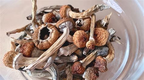 Shrooms .